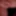 My little friend – freshly shaved and ready #2