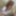 Yui Kisaragi :: Alternated BJ And Insert 2 - CARIBBEANCOM #7