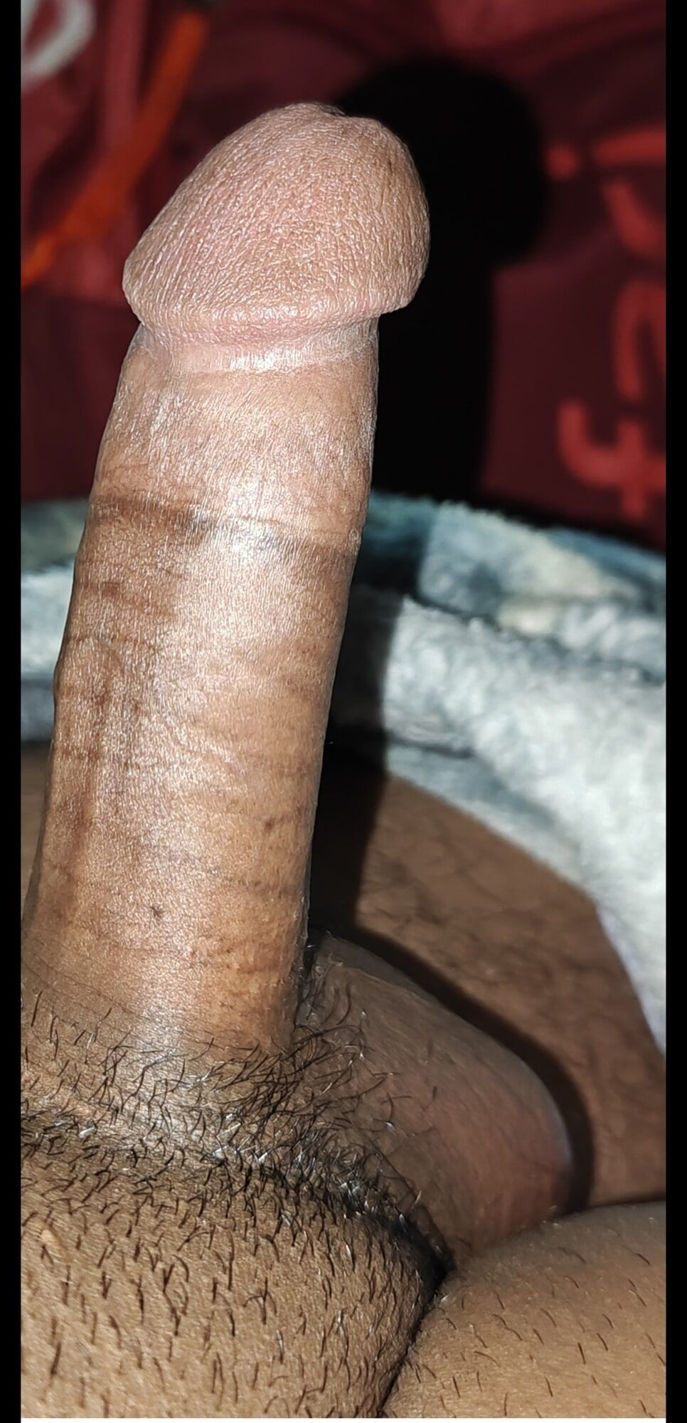 Hard Dick #3