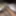 Recent dick pics