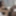 ASIANTGIRL: Linly Is Cumming For You! #5