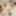 Sakiko Mihara :: Greedy Like Before - CARIBBEANCOM