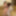 Wife and her friend share a dildo #20