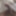 Open dick #3