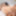 BRAZILIAN-TRANSSEXUALS: ISA LARUEN &amp; YRIS STAR