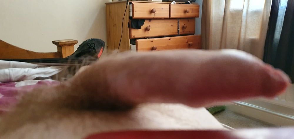 My cock