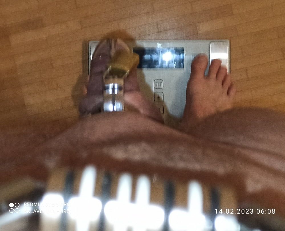 weighing, nipple torture and cagecheck of 14.02.2023