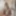 Mary Jane Free Photos #54