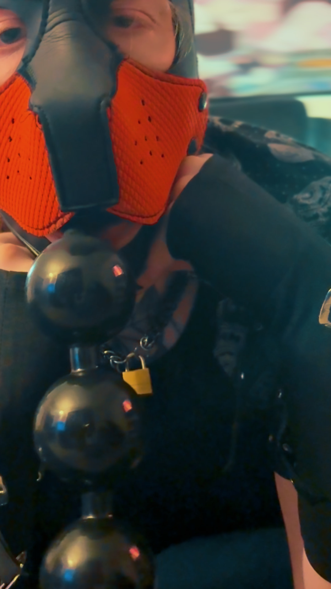 S1UTTRANSPUP - BRATTY PUP Taunts you while wrecking their as #13
