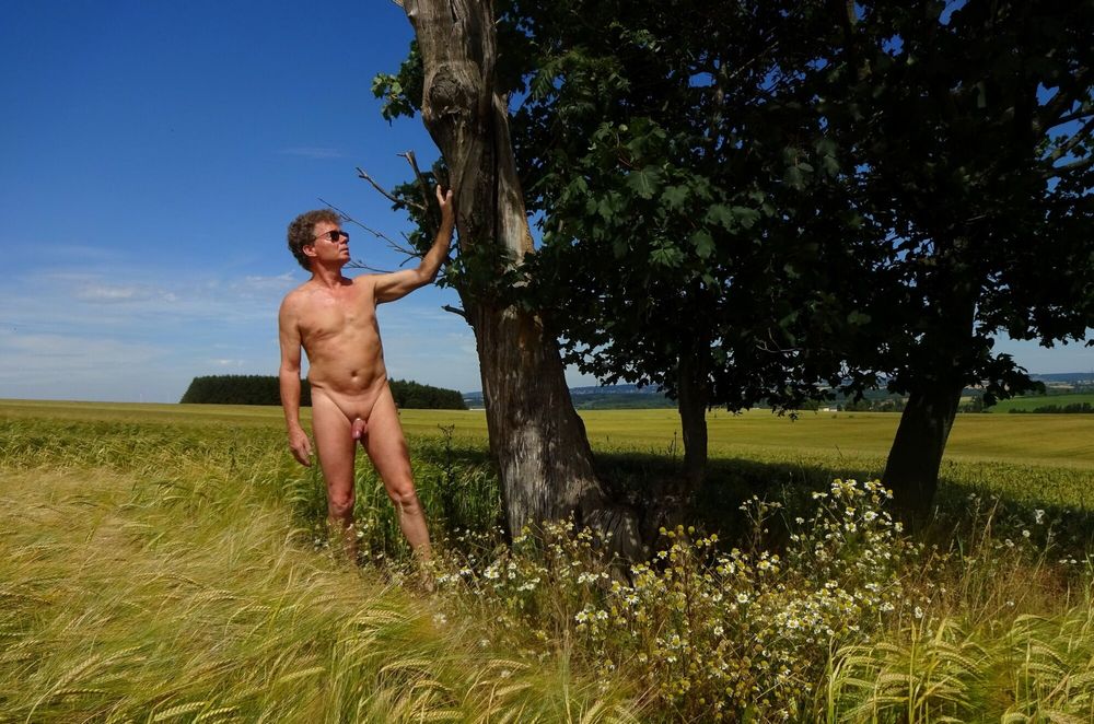 Matti am Baum auf dem Feld #9