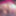 BBCライド&ストリップからの新しい写真、ぽっちゃりシシーピンク