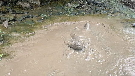 SHOT - SOAKED IN MUD, FUCKED BY NATURE