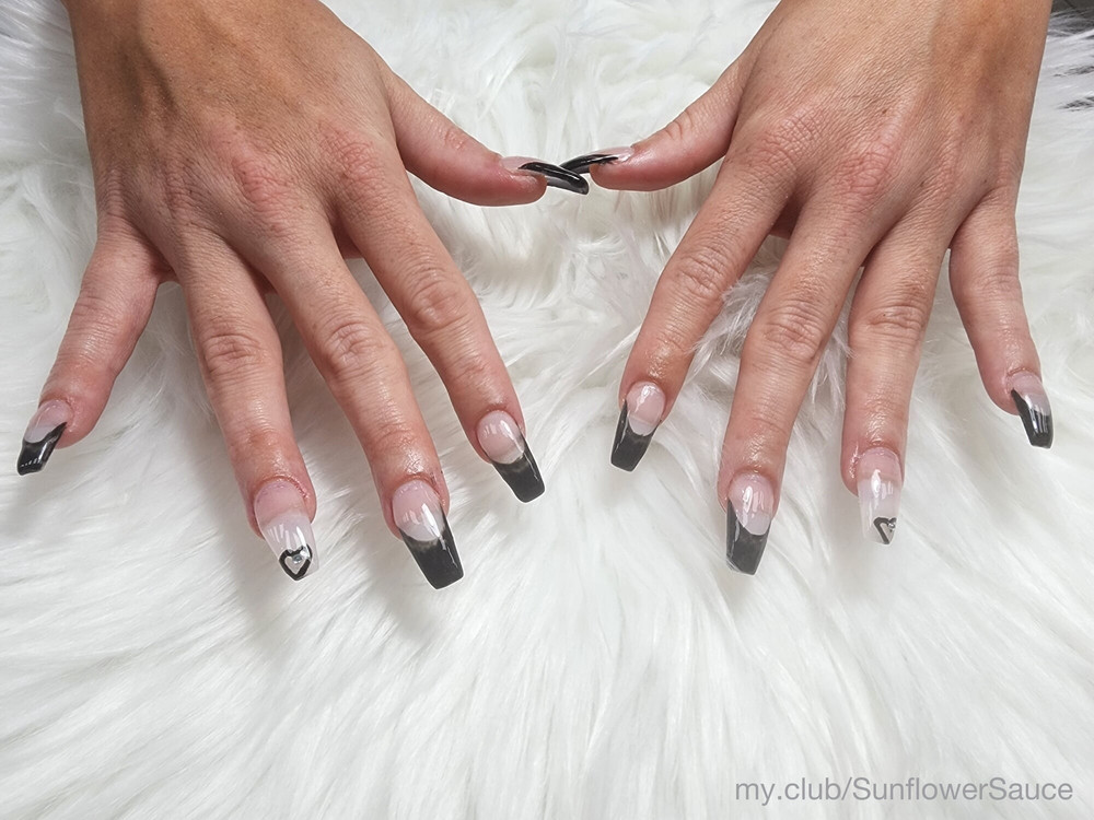 🌻 Sunflower.Sauce  Free Photos #11