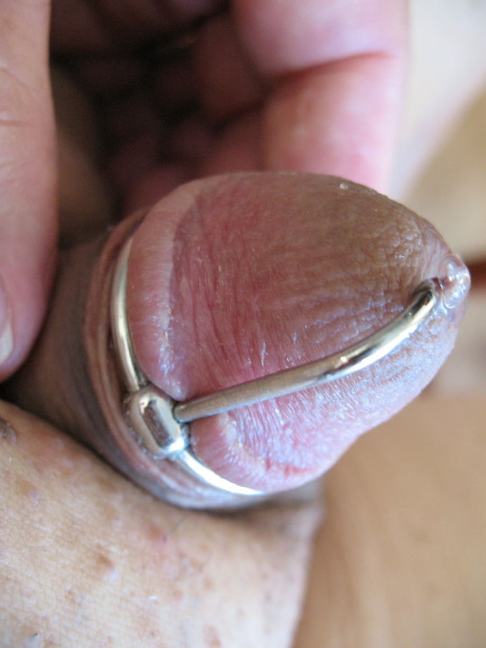 More steel in my cock with glans ring #25