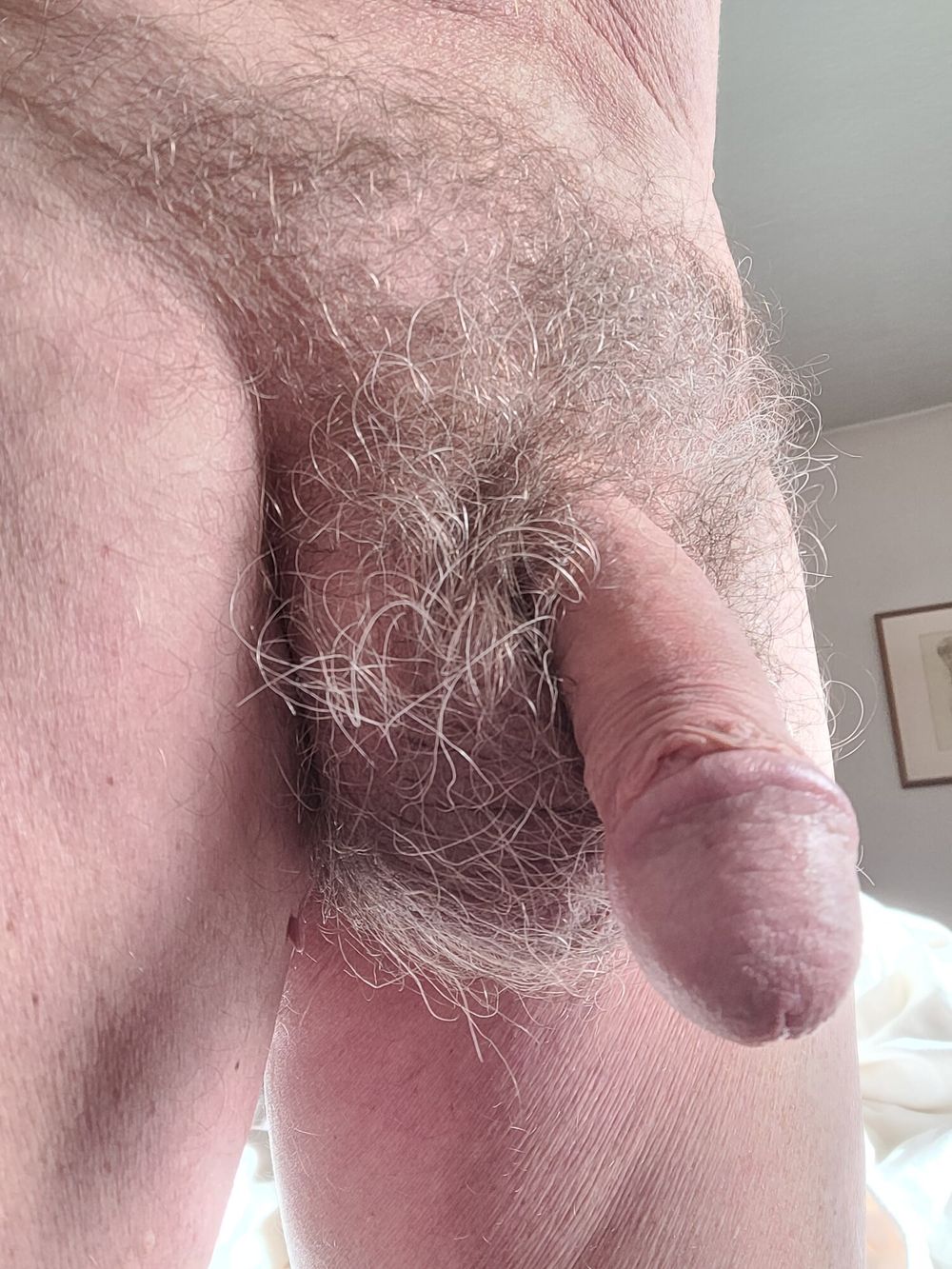 For hairy balls and pubes lovers #15