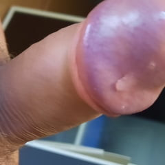 Horny cock 