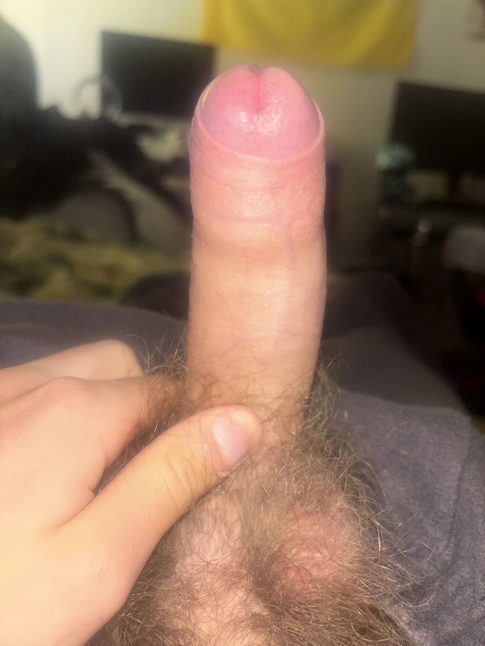 my gallery #4