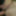 Anal fucked, cumshot in her mouth #41