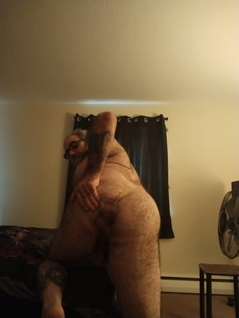 Polar bear needs something hard and deep 
