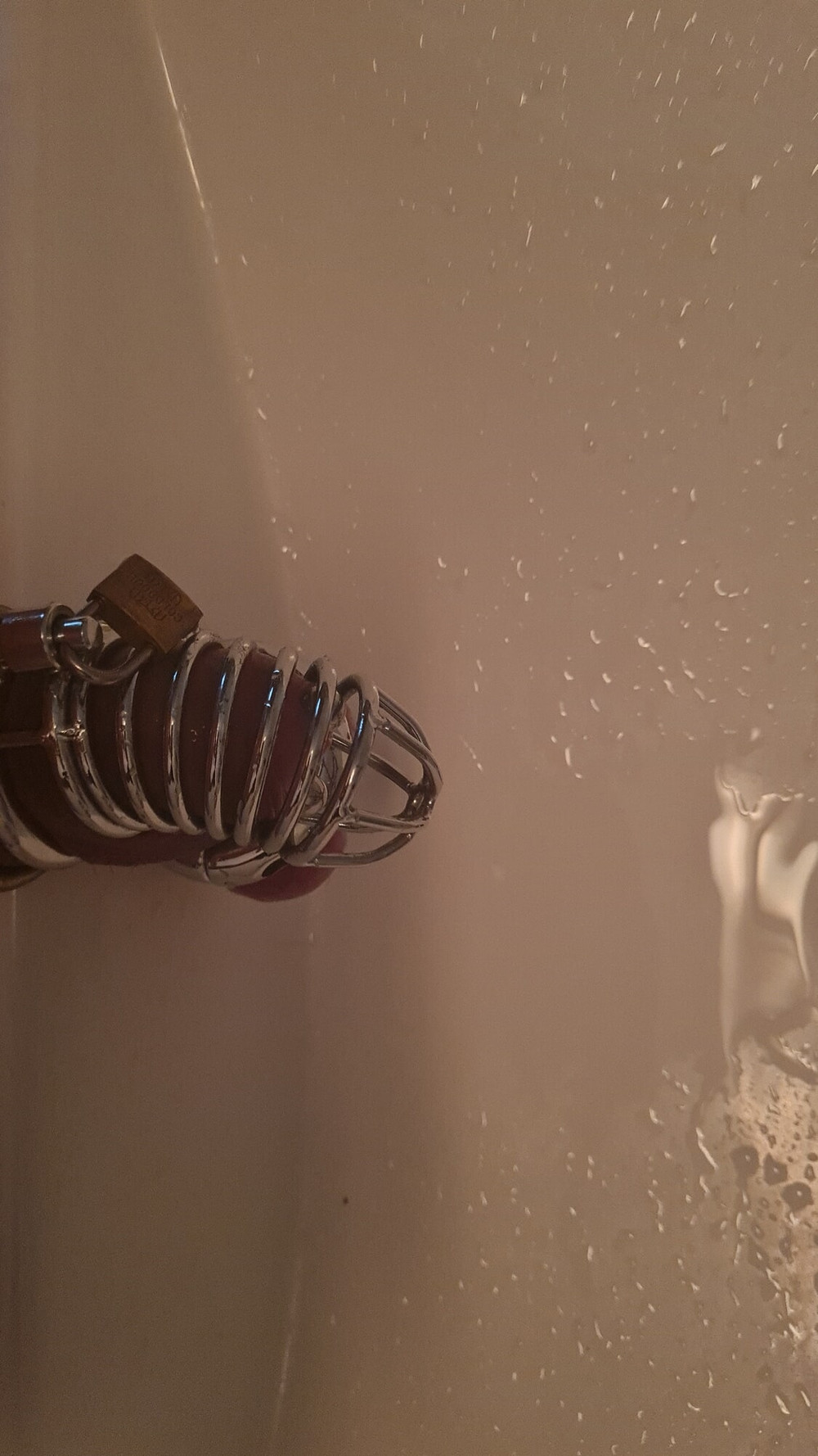 chastity and strech 4 #24