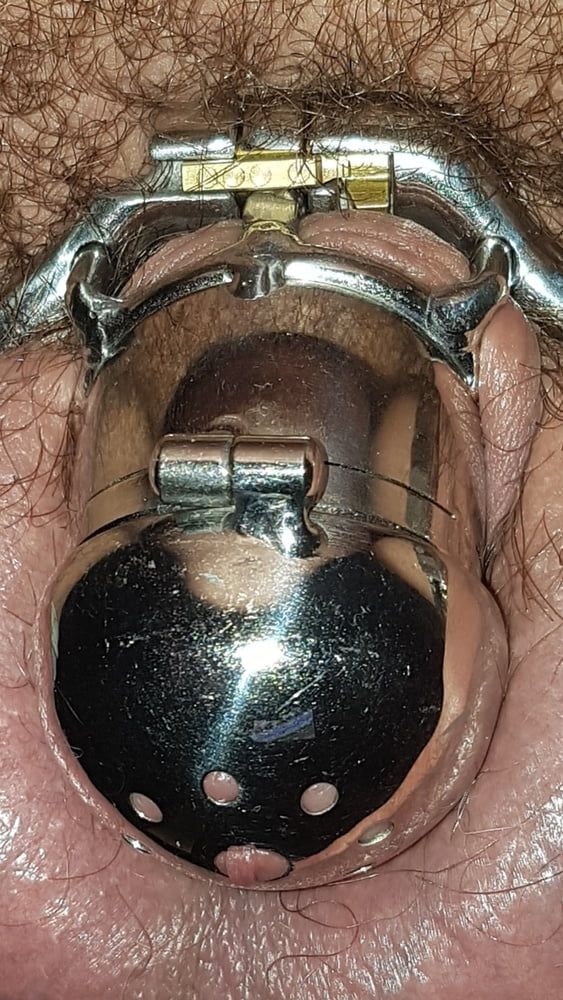 Chastity cage #42
