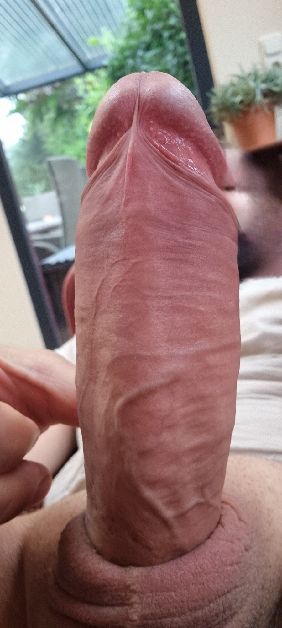 Holiday: playing with my big hard cock and cum!