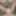 Mu photos 258
