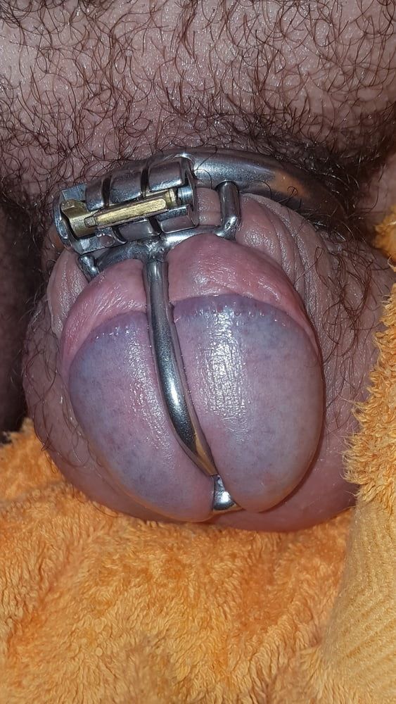 Me in Chastity Cage 1 #42