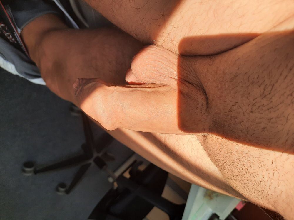 Horny cock  #2