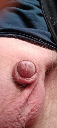 My Cock