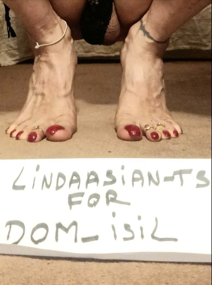 Lindaasian-ts for Master DOM_isil (part 2). #4