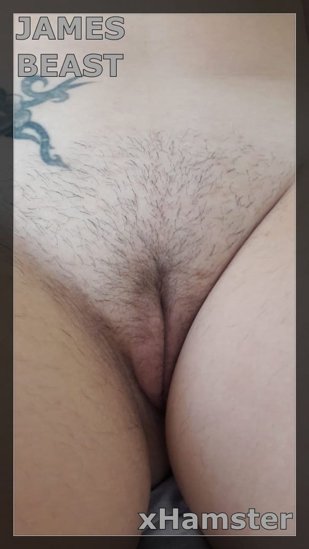 Sweet Pussy pics