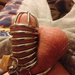 New cage