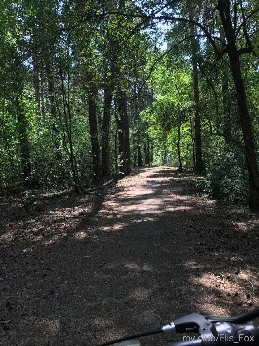 Alice Free Photos #42