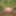 Fag Christoph Straubinger naked in the forest #17