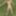 On the river bank, on the grass, in a public place without p