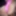 New Spoiler for my content , my Pink Dildo 
