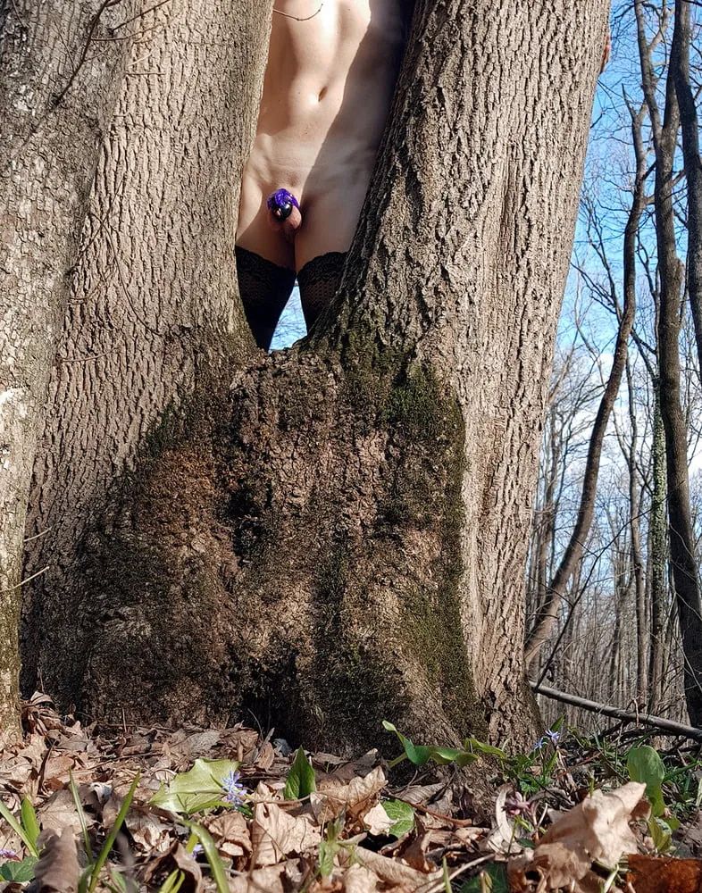 Sissy Annie in chastity, outdoors in the forest #9