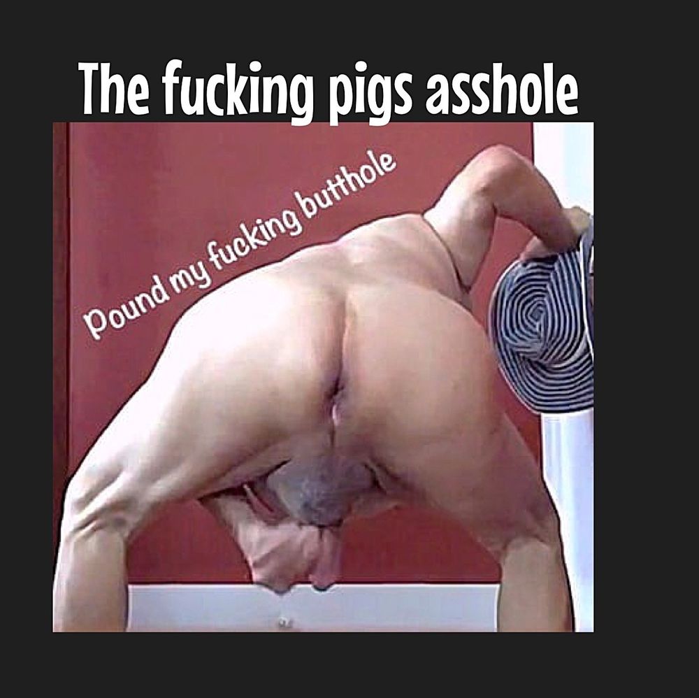 Piggy