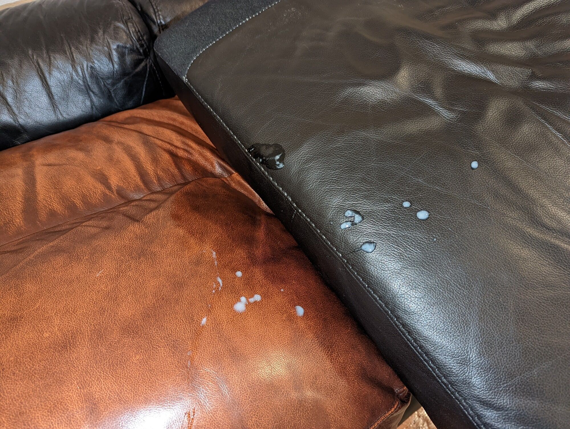 Cum on my leather pillow #2