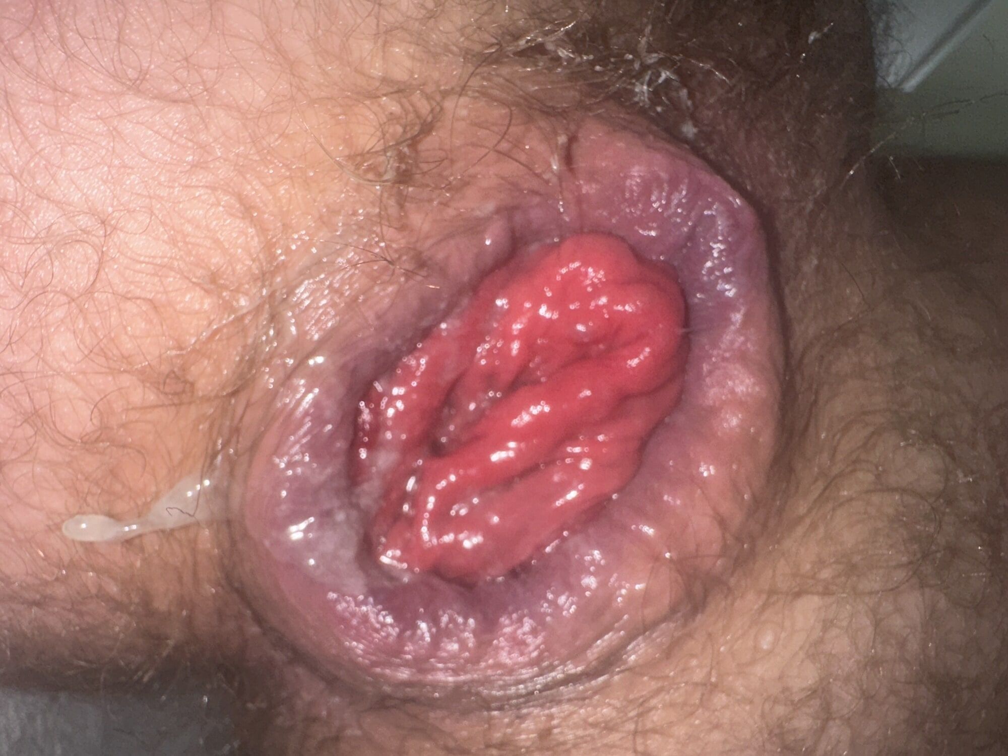 Anal prolapse in oxball ff pighole #15