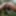 naked body