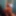 01 ass in air april  2019