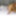 #SkinnyThai Girl Rides My #BigCock #AsianCowGirl #ThaiPussy