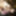 Cassie Laine Erotic Masturbation
