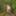 Young wife undresses and walks naked in the forest park #6