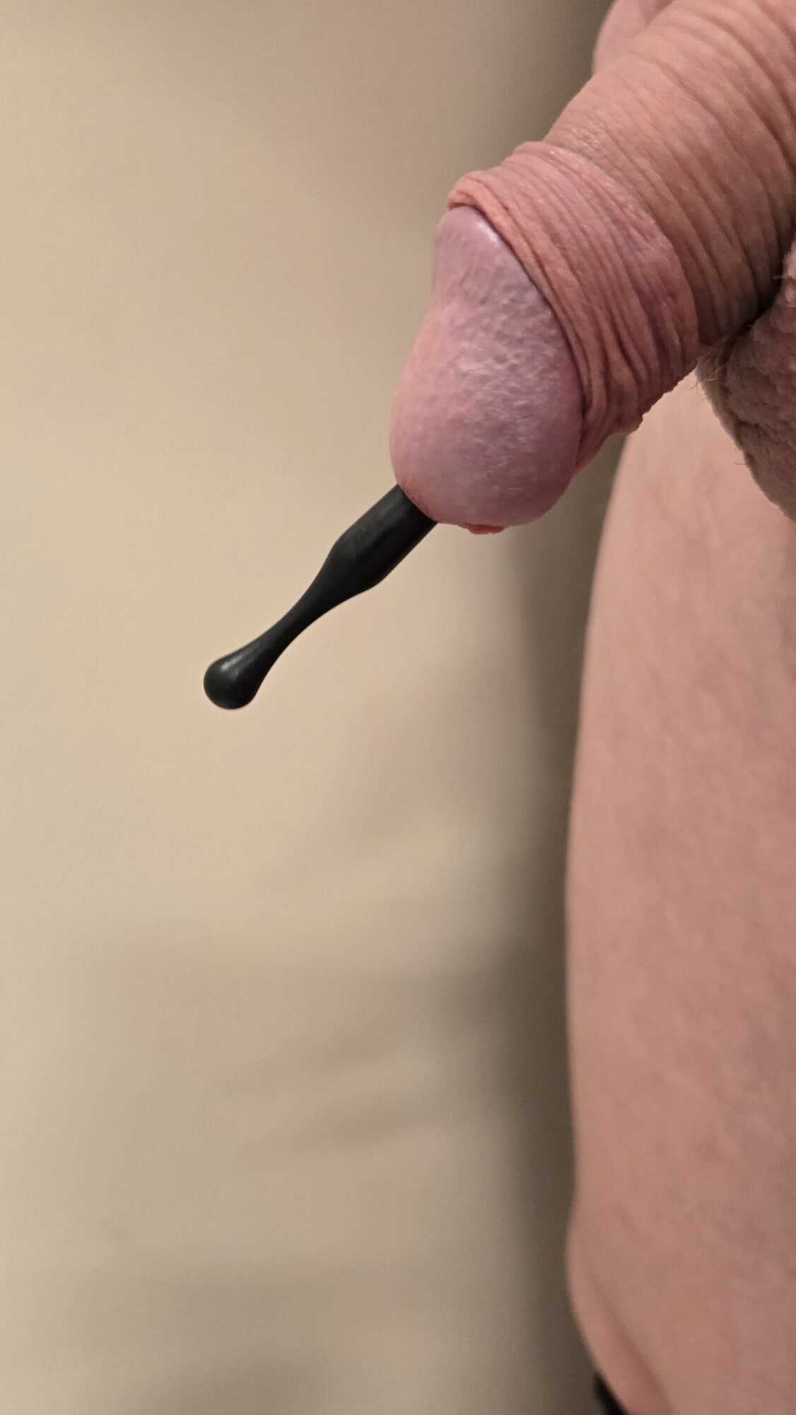 Prince Albert Dilator #2