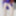 N?glig? purple and Pantyhose white #33