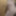 Public Restroom Ass Cock 6 #14