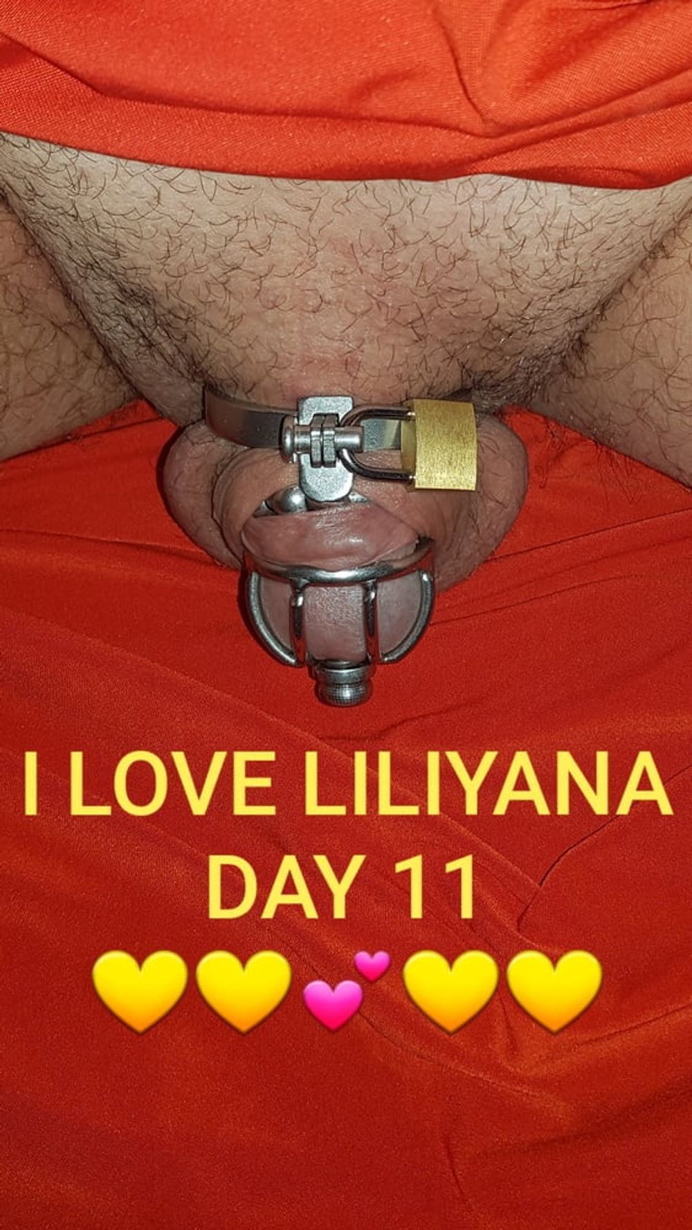 Chastity cage for Liliyana #11